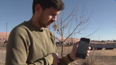 Asylum-seeker taken into custody during Denver ICE raid