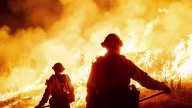 Hollywood gears up for Oscars after devastating L.A. wildfires