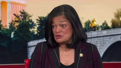 Jayapal discusses Democrats' response to Trump tariffs