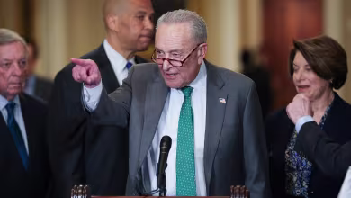 Democrats react to Schumer's plan to vote for GOP funding bill