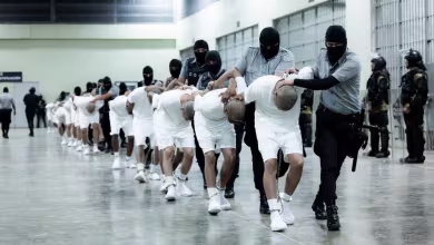 Judge criticizes Trump admin over deportation of migrants the WH says are violent gang members