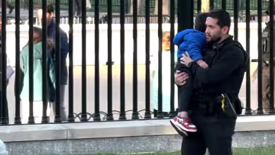 Watch: Secret Service returns toddler who slipped through White House fence
