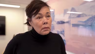 ‘You don’t talk to friends like that’: Greenlanders on Trump interest ahead of election