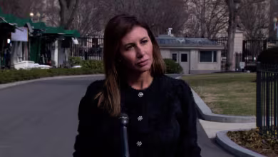 Alina Habba: Veterans fired by DOGE might be 'not fit to have a job at this moment'