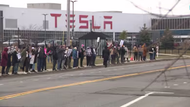 Dozens of protests take place at Tesla dealerships nationwide