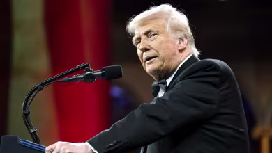 Trump reacts to tariff backlash: 'I know what the hell I'm doing'