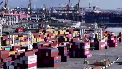 Twelve states sue White House in bid to block Trump’s tariff plans