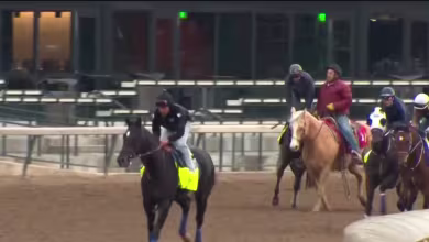 Churchill Downs CEO: Track renovation put on pause over tariffs