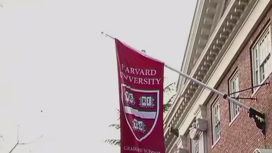 Judge blocks Trump administration from banning international students at Harvard