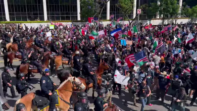 Officers on horseback push back crowds at L.A. ICE protest