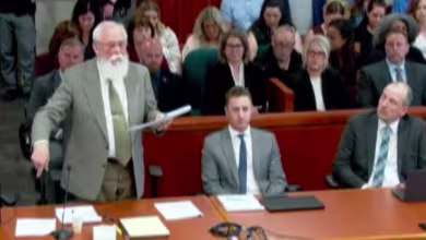 Prosecution outlines timeline of University of Idaho murders during plea hearing