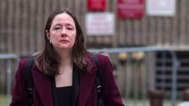 Federal prosecutor Maurene Comey fired by Department of Justice