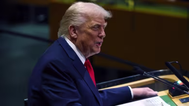 Trump tells leaders 'your countries are going to hell' over migration