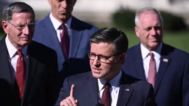 Johnson: Democrats are 'grasping at straws' to justify government shutdown