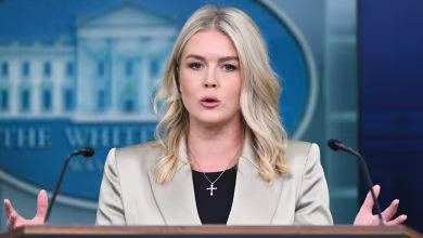 White House on layoffs: Democrats have 'given the administration this opportunity'