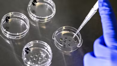 Trump announces IVF drug pricing deal that will lower costs