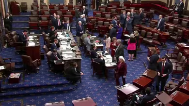 Republican effort to pay federal workers is defeated in Senate