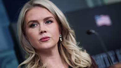 White House says Epstein emails referencing Trump 'prove absolutely nothing'