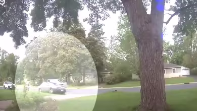 internet investigation internet investigation ICE officer named in Minneapolis shooting used to be beforehand dragged by automobile in the route of attempted arrest