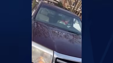 Watch: Video filmed by ICE officer shows moments before Minneapolis shooting