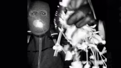 FBI releases surveillance photos of potential subject at Nancy Guthrie's door