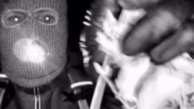 Security video reveals clues in Nancy Guthrie case