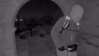 Person detained for questioning in Nancy Guthrie's disappearance 