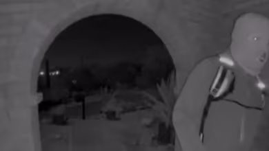 Pima County sheriff detained subject in Guthrie case during traffic stop