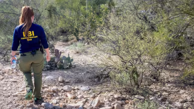 Man detained in Nancy Guthrie investigation released