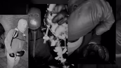 Analyzing images of armed person on Nancy Guthrie’s porch