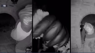 Investigators search for clues in Nancy Guthrie abduction