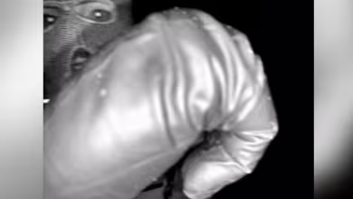 FBI testing DNA found on glove consistent with type seen on Guthrie doorbell video