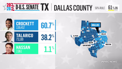 Texas Supreme Court blocks extended polling hours in Dallas County