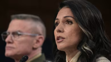 Gabbard says she observed Fulton County search 'at the request of the president'