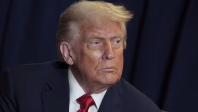 Trump's dispatch of ICE to airports adds pressure to DHS battle