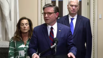 'This is not a game': Speaker Johnson to propose alternative to Senate DHS funding deal