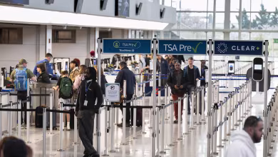 TSA Lines Ease as Workers Receive Pay and Return to Work