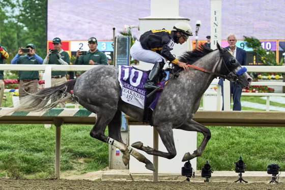 260516-preakness-ww-1623-28e210.avif
