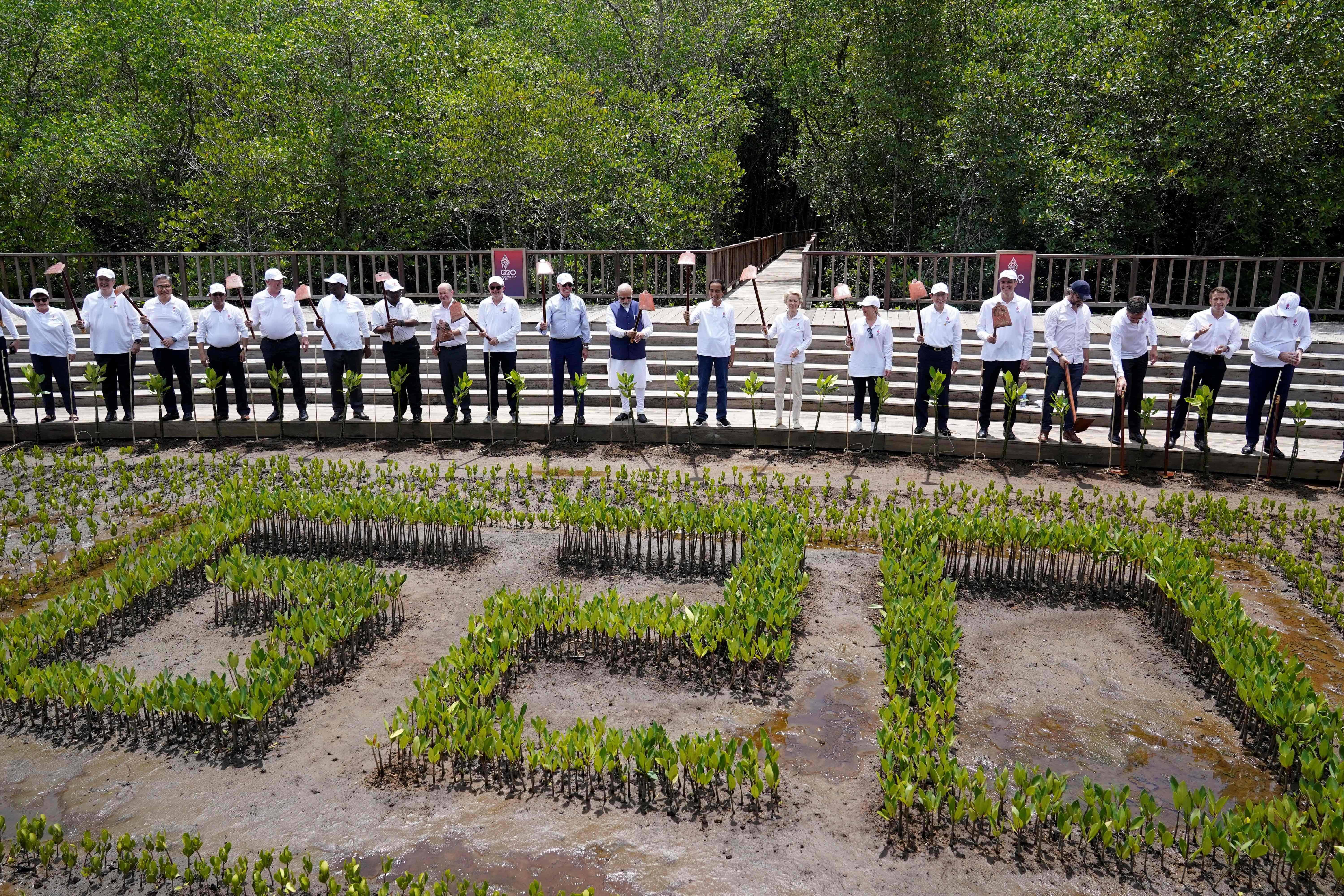G20 Leaders during a tree planting on the Indonesian resort island of Bali on Wednesday.