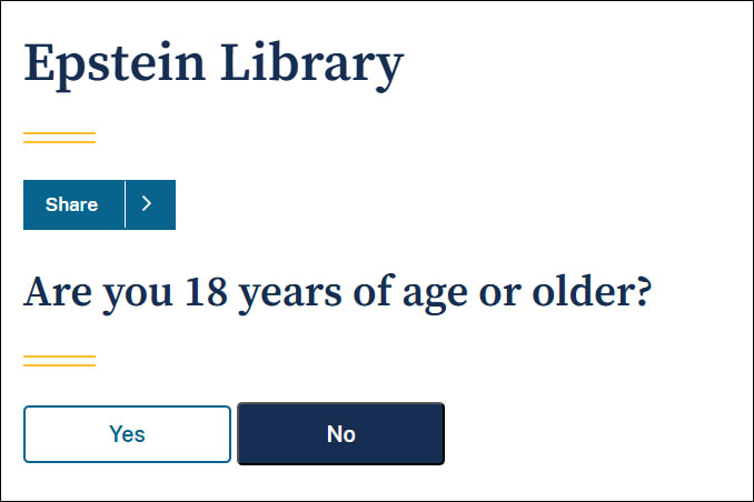 Screenshot of Epstein Library age verification