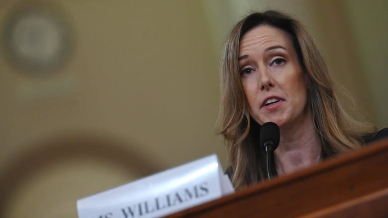 Williams: Trump's call 'struck me as political in nature'