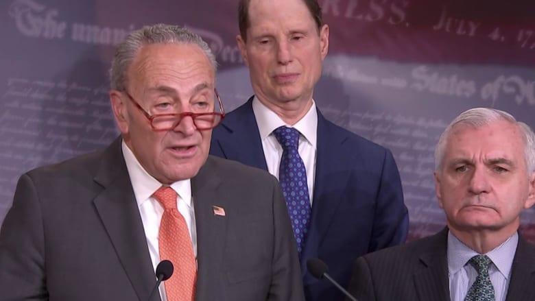 Schumer: Hunter Biden can tell us 'nothing' about Trump's conduct