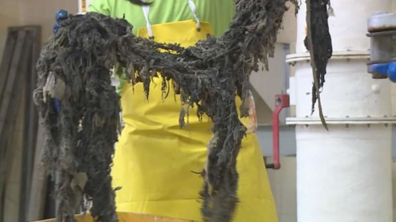 Experts say don't flush anything but toilet paper