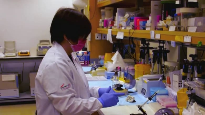 Efforts to contain coronavirus around the world expand