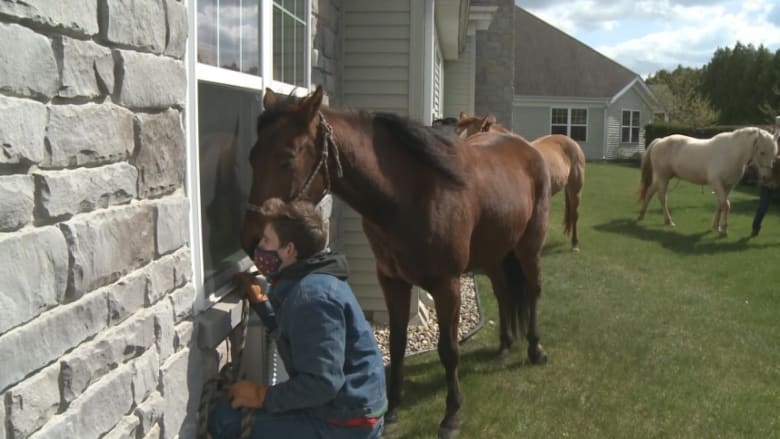 Horses make window calls during uplifting visit to Indiana nursing home