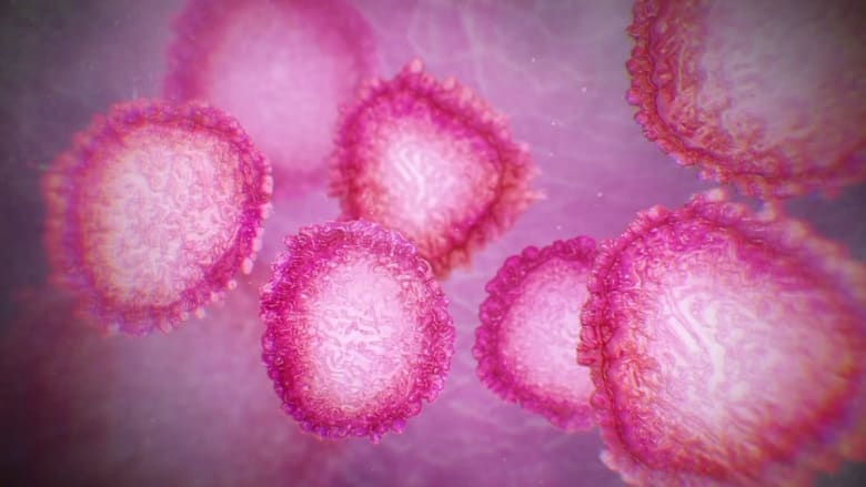 What U.S. could learn from nations slowing the coronavirus