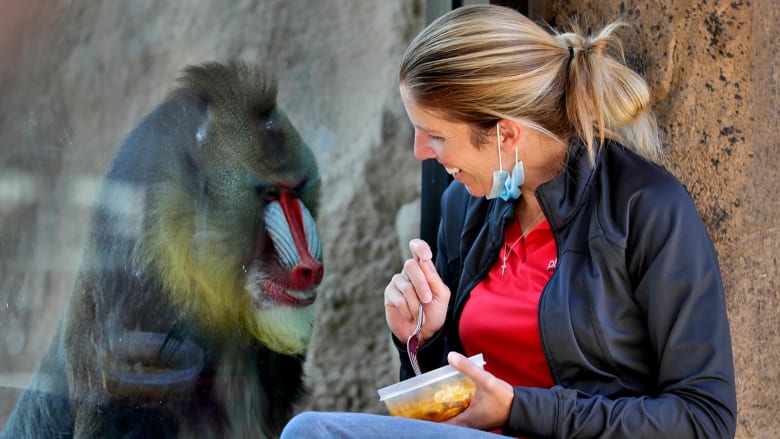 How one deserted zoo's animals are coping with loss of contact