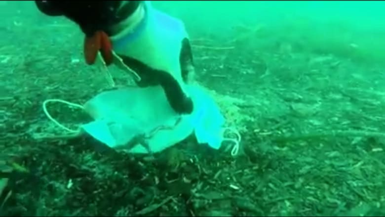 Disposable gloves, masks found lying on seabed by environmental campaigners