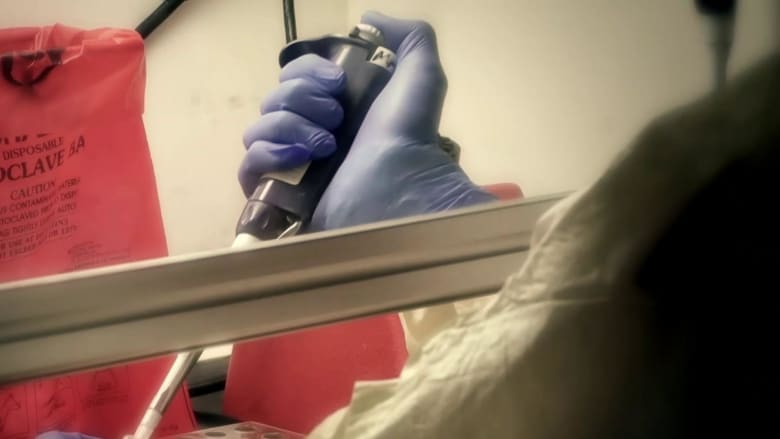 Convalescent plasma appears safe as COVID-19 treatment, study shows