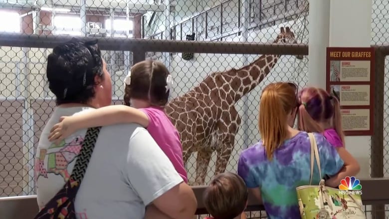 Theme parks and zoos begin to reopen with coronavirus restrictions